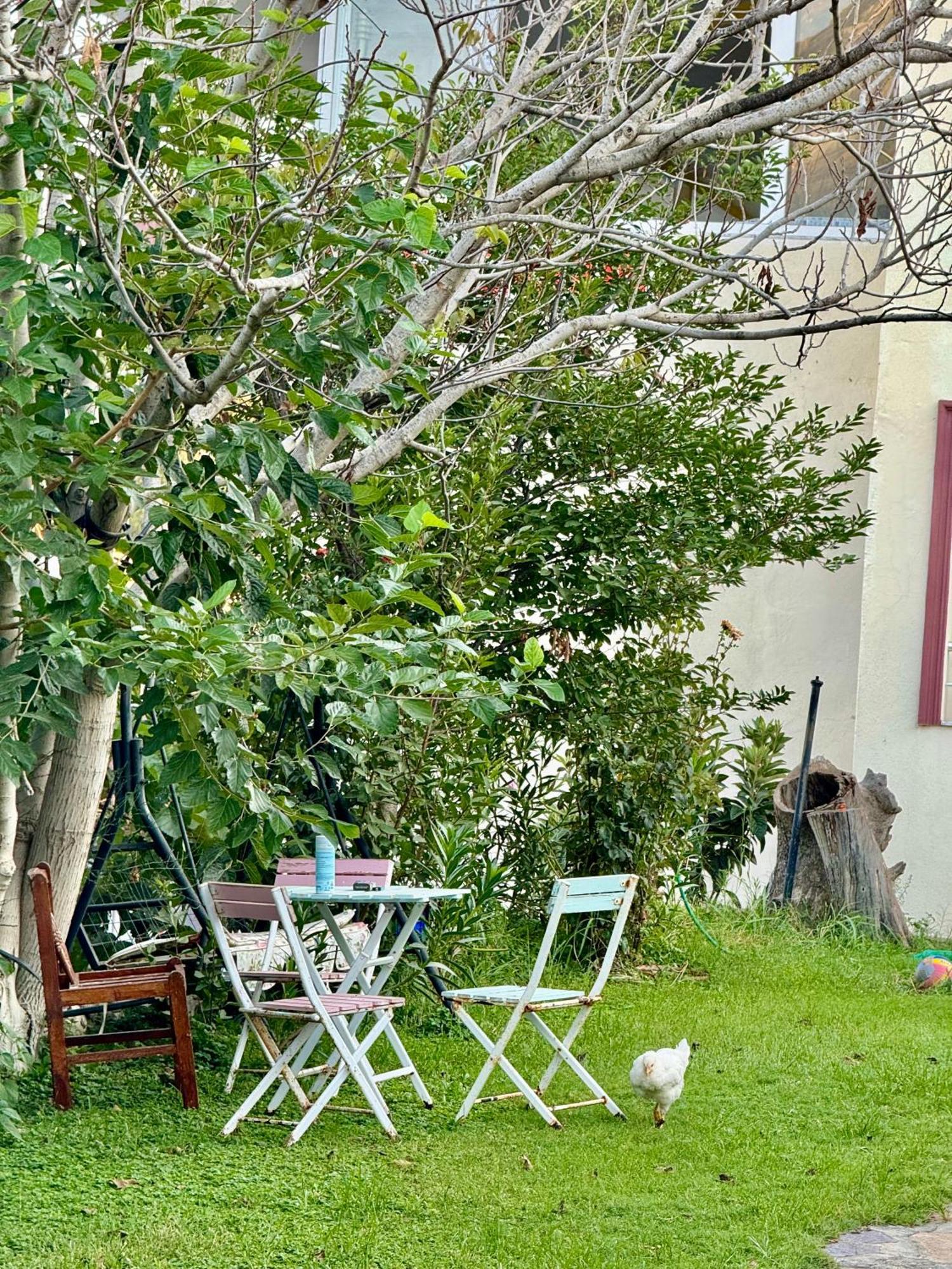 Maison d'hôtes Rose Patara